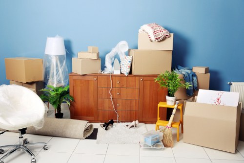 Professional movers carrying boxes during a small removal service